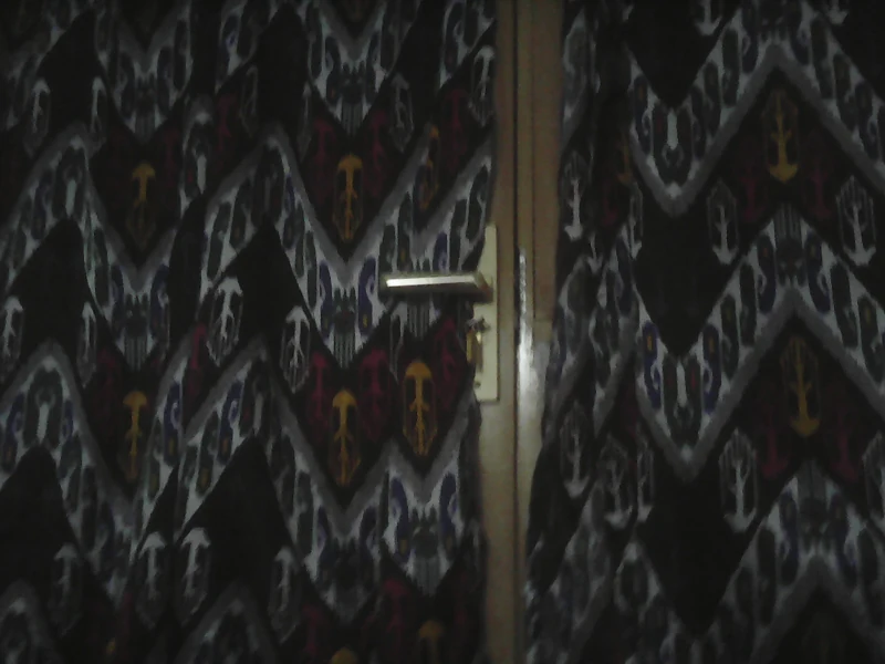 100_0020.JPG