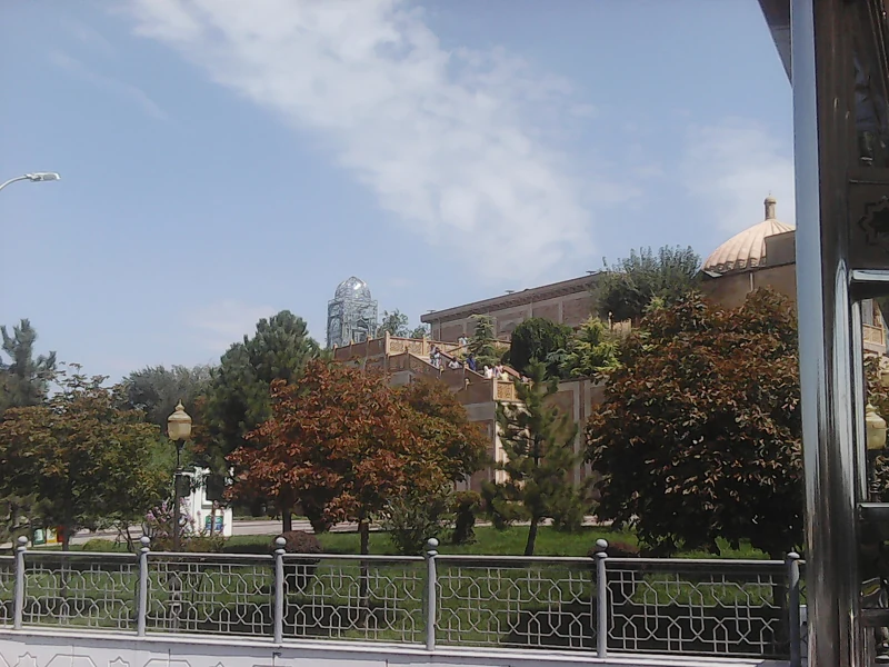100_0037.JPG