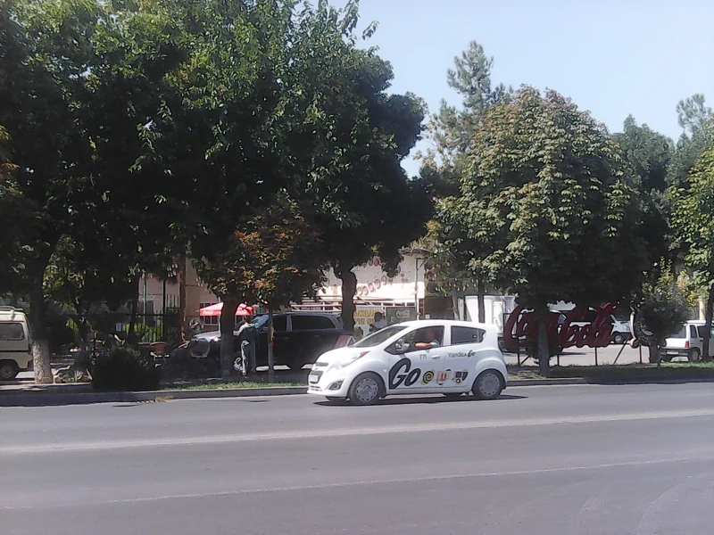 100_0042.JPG