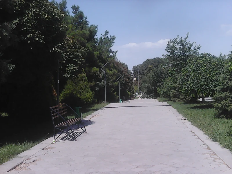 100_0043.JPG
