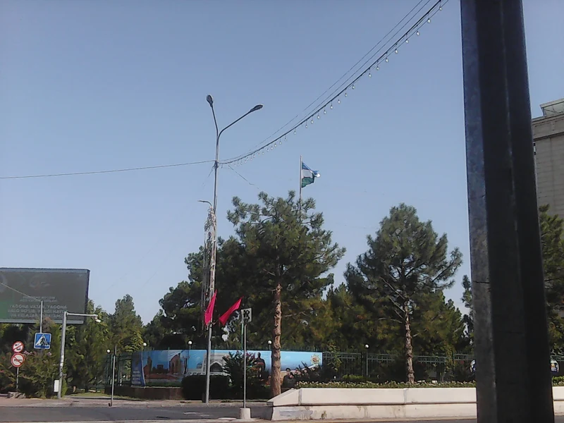 100_0048.JPG