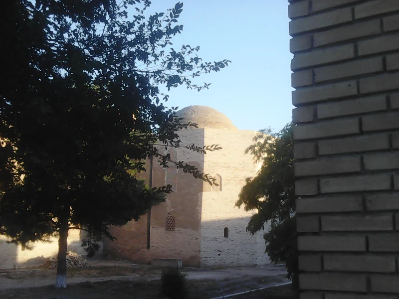 100_0081.JPG