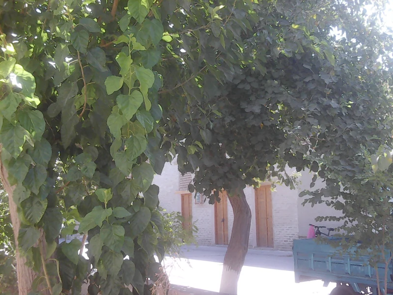 100_0120.JPG